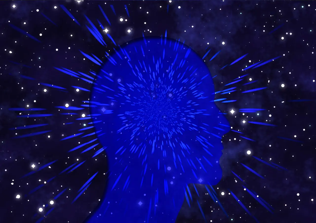 What is Consciousness?