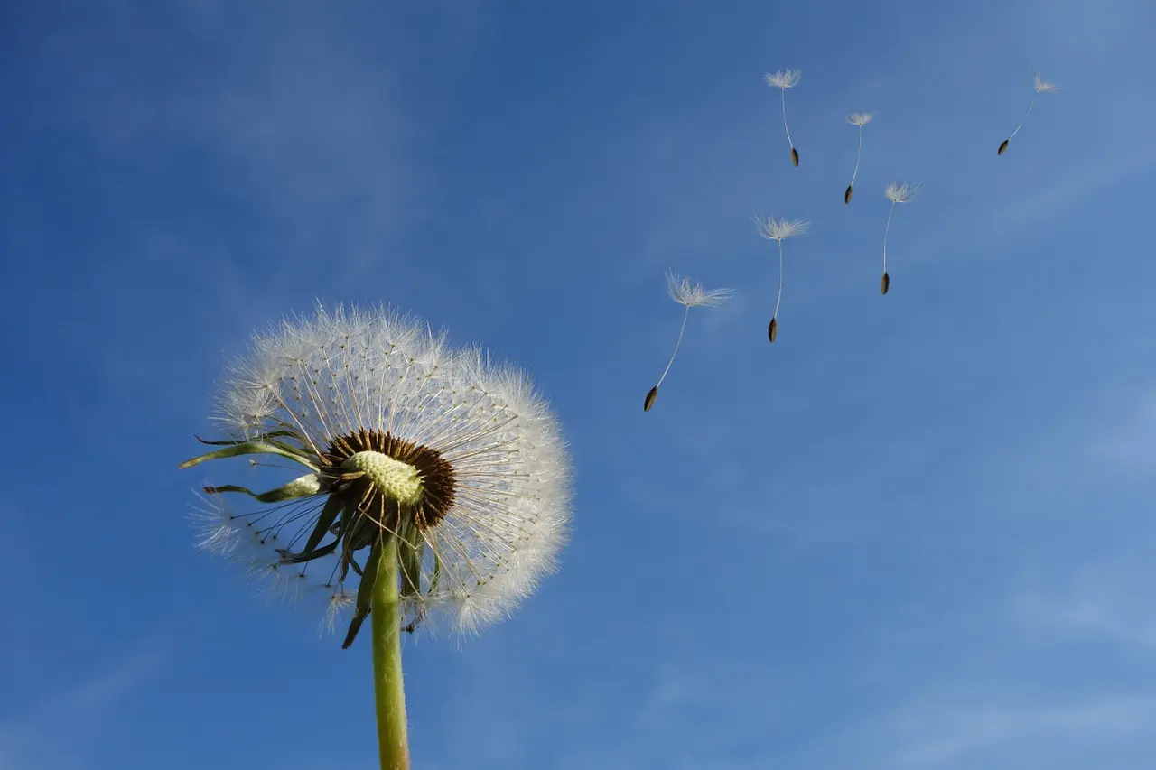 How Love Heals, Part II