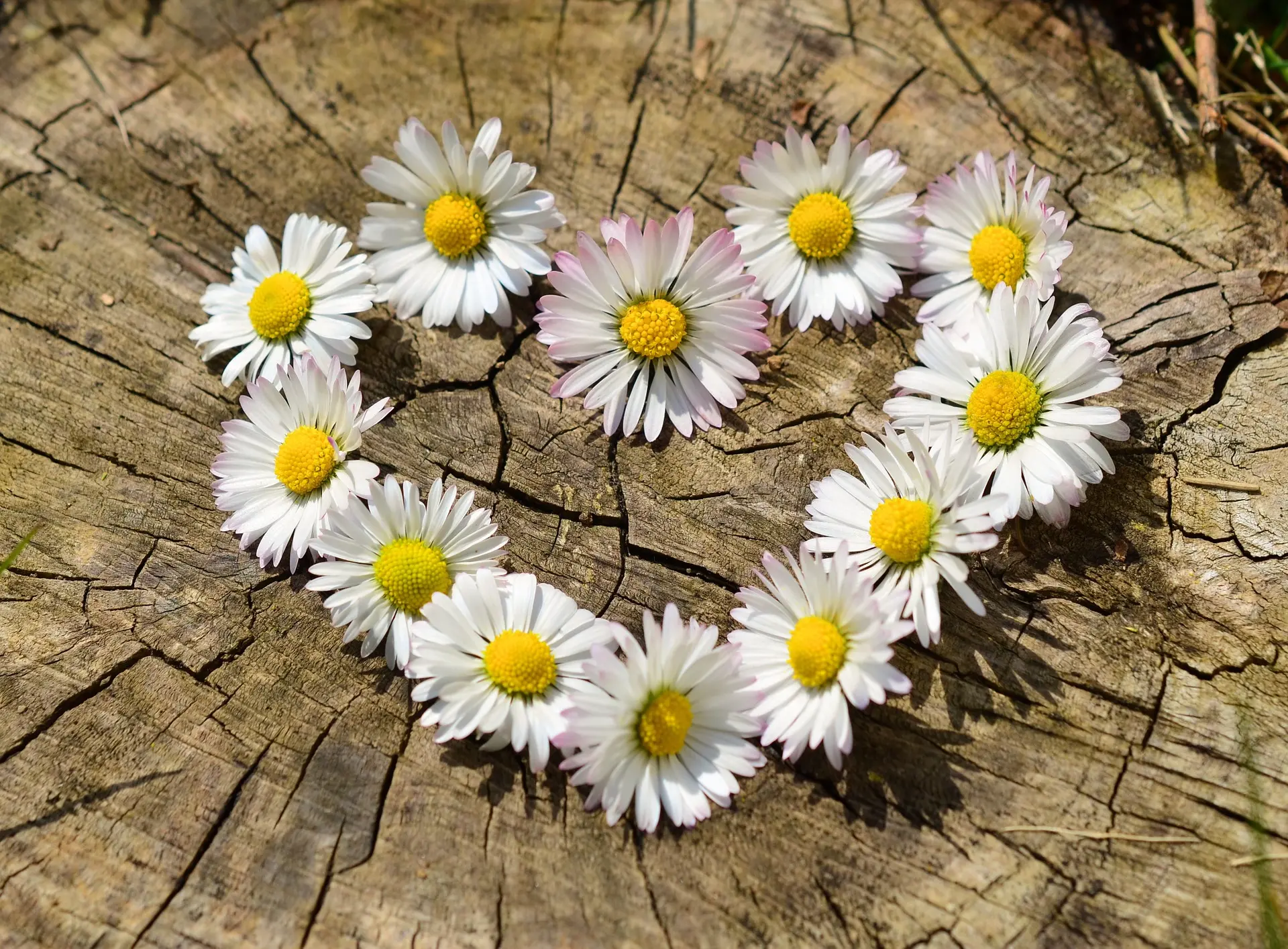 Transformative Power of Love