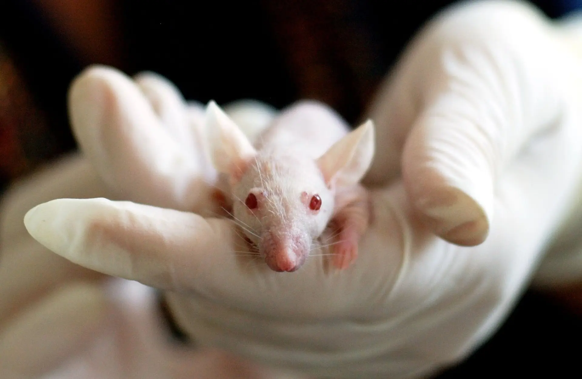 Up to Half of the Clinical Research Published May Be Untrue?