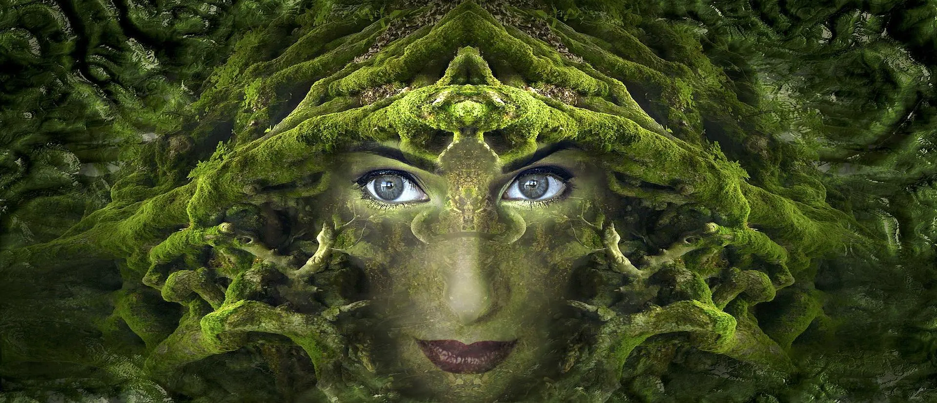 Science of Higher Consciousness