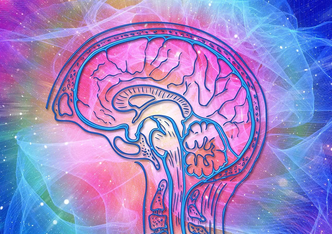 Evidence That Consciousness Survives Death